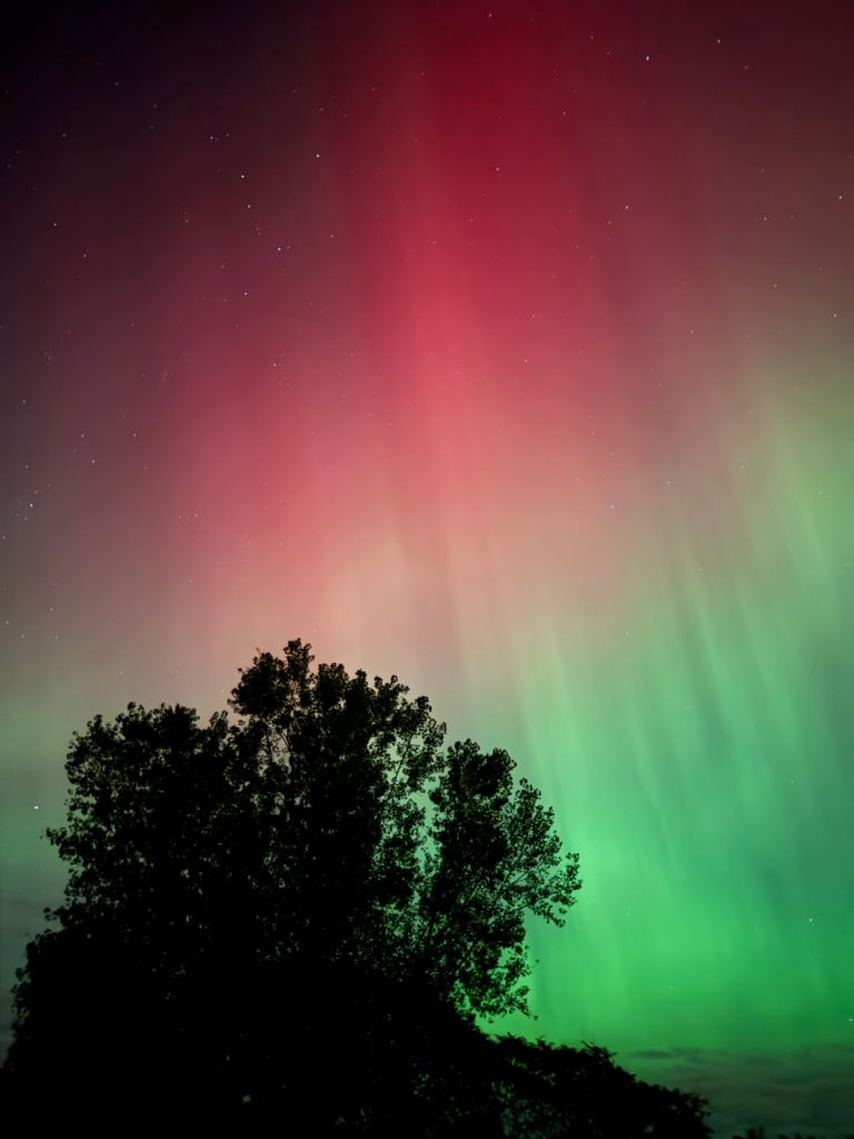 Photo of tree silhouetted against colorful Aurora Borealis sky